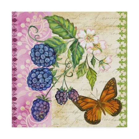 Jean Plout 'Vintage Fruit Blackberries' Canvas Art,35x35